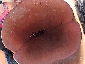 ヴァーチャルべろチュウ Lesbian Kiss　サンプル画像06